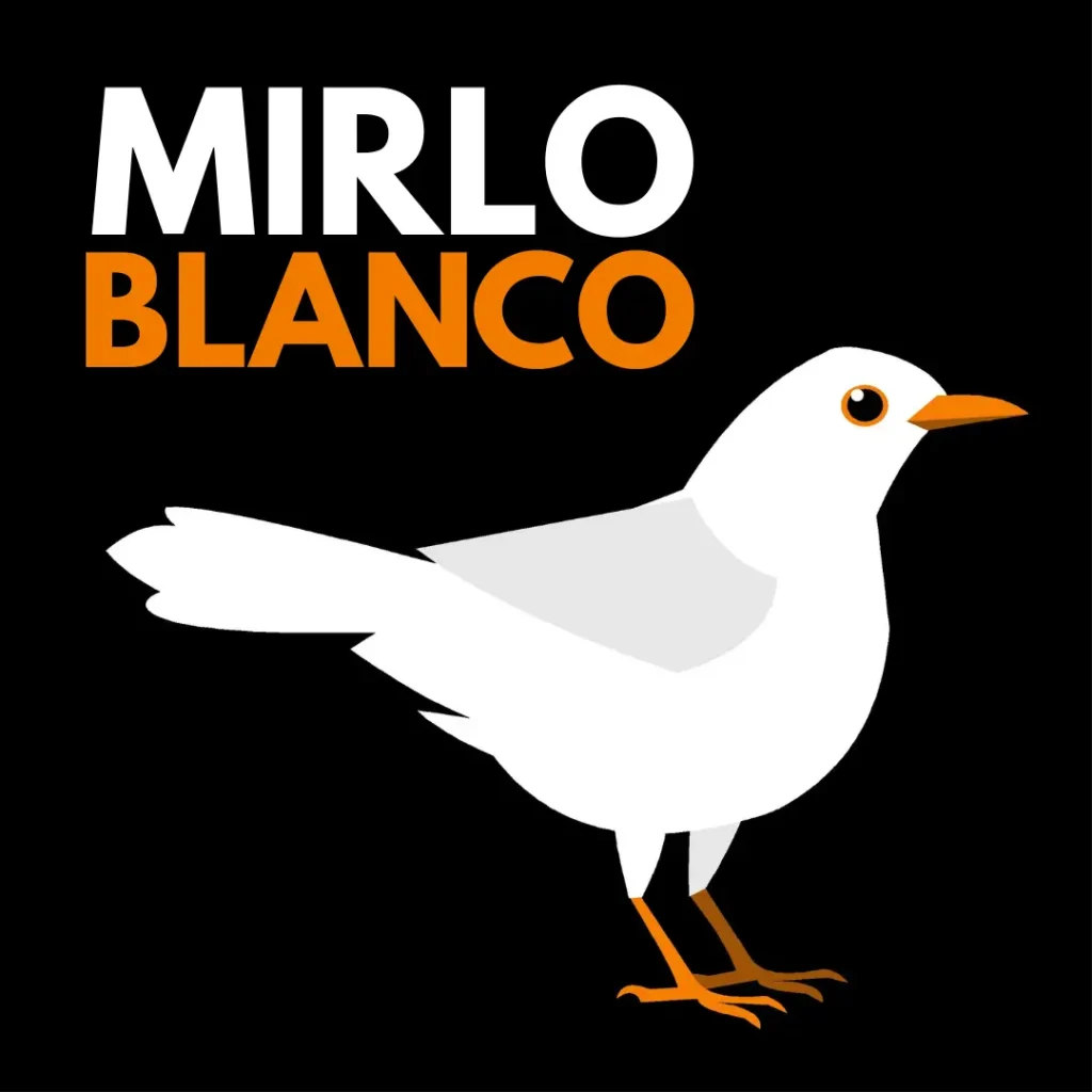 Podcast Mirlo Blanco
