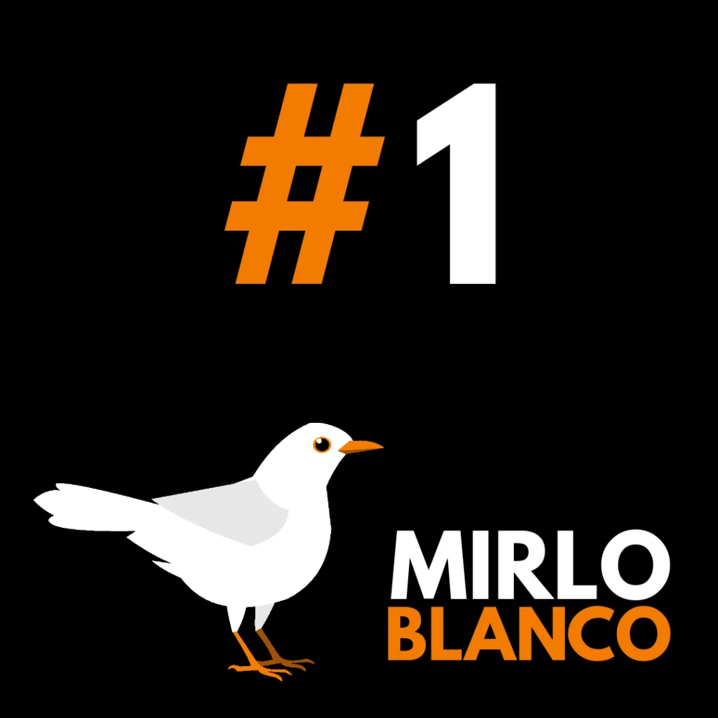 Podcast aves ornitología Mirlo Blanco