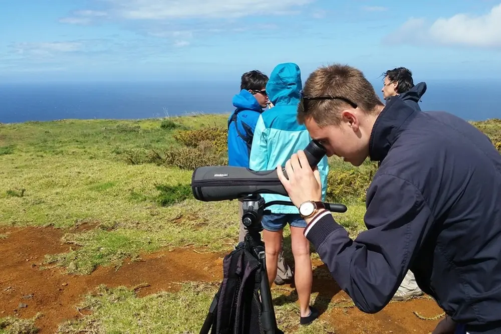 Agenda pajarera Noviembre