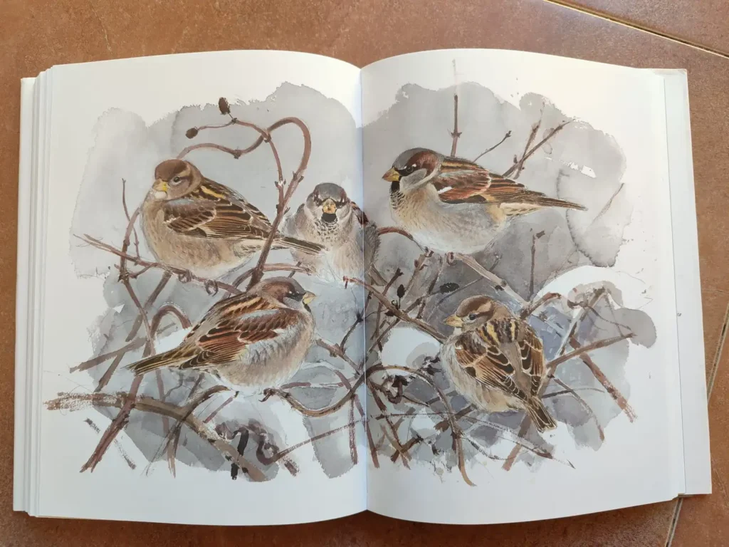 Ilustración página completa gorriones