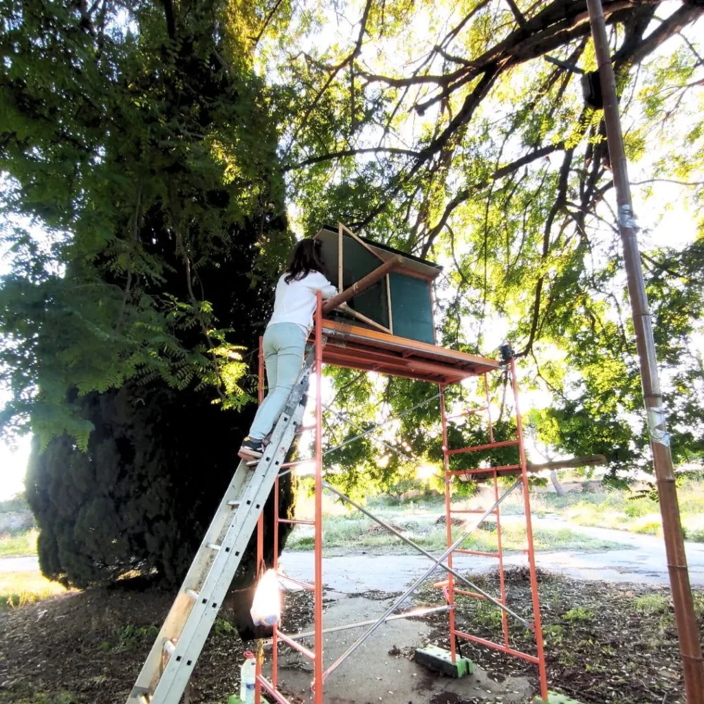 Caja nido hacking de lechuzas Monjuic Barcelona