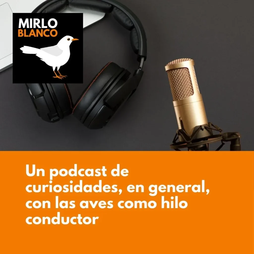 Cómo surge el podcast Mirlo Blanco