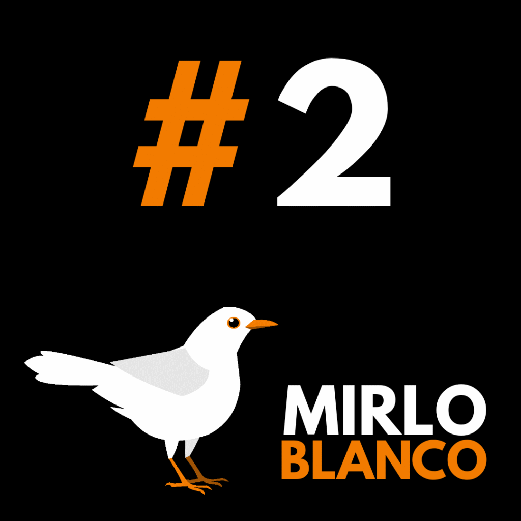 Episodio 2 del podcast Mirlo Blanco