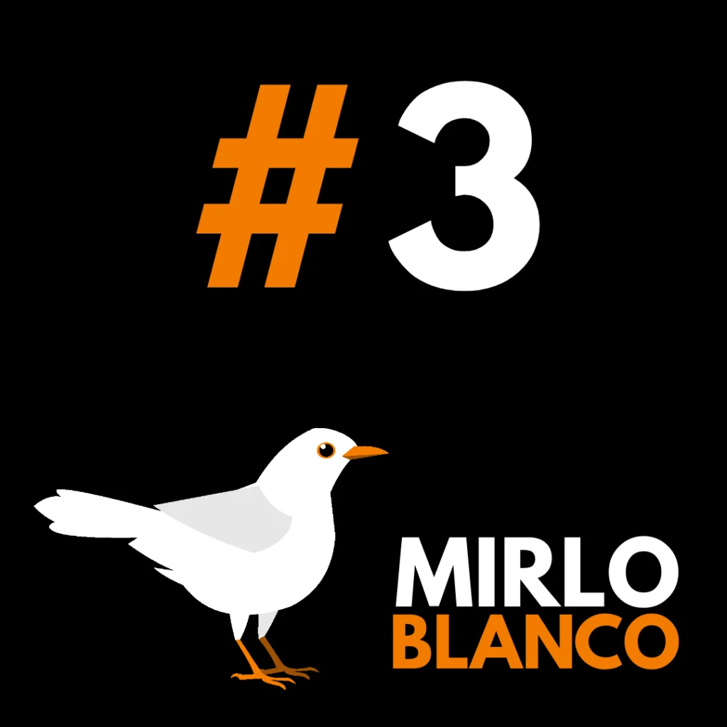 Episodio 3 - Podcast Mirlo Blanco