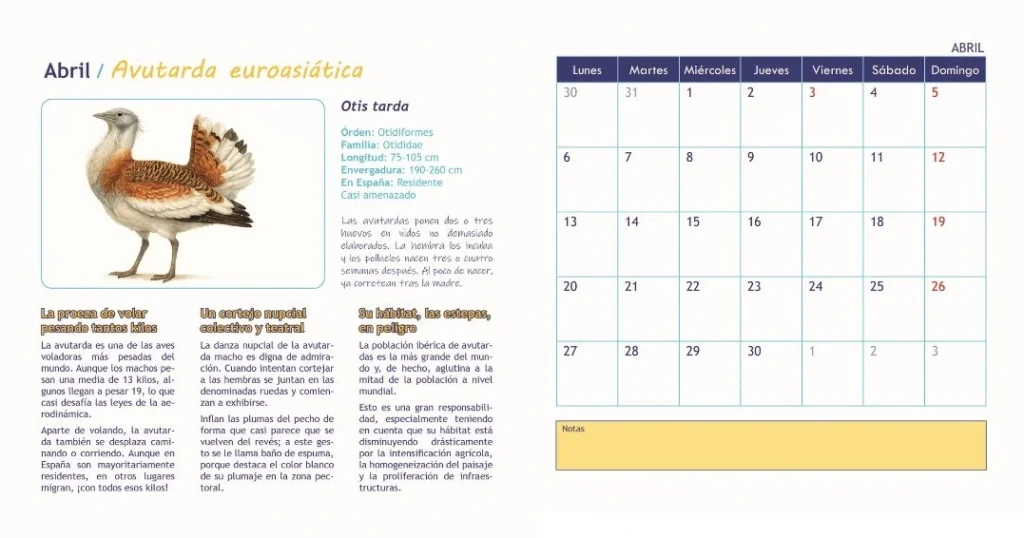 Calendario de aves 2026 Interior