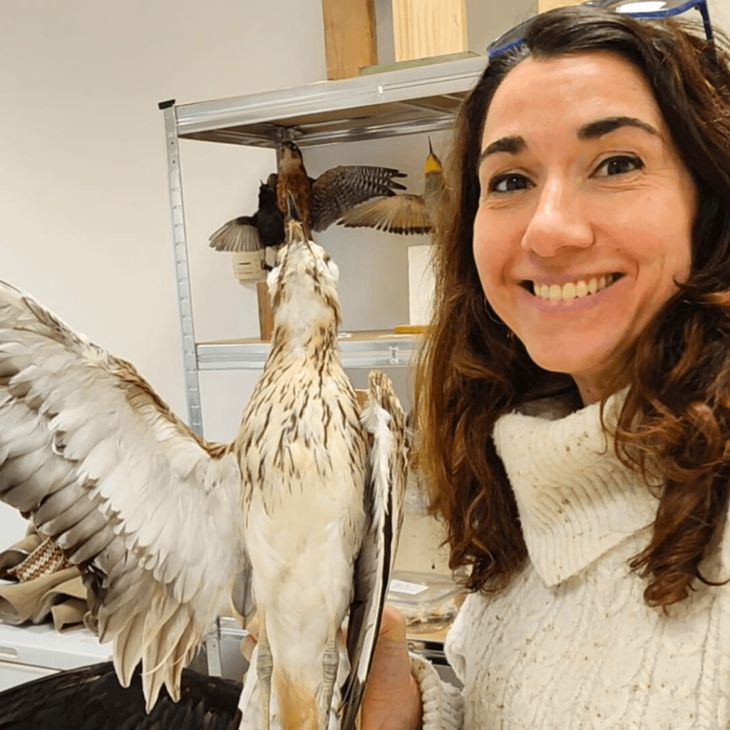 Clara sujeta la piel de estudio de un alcaraván