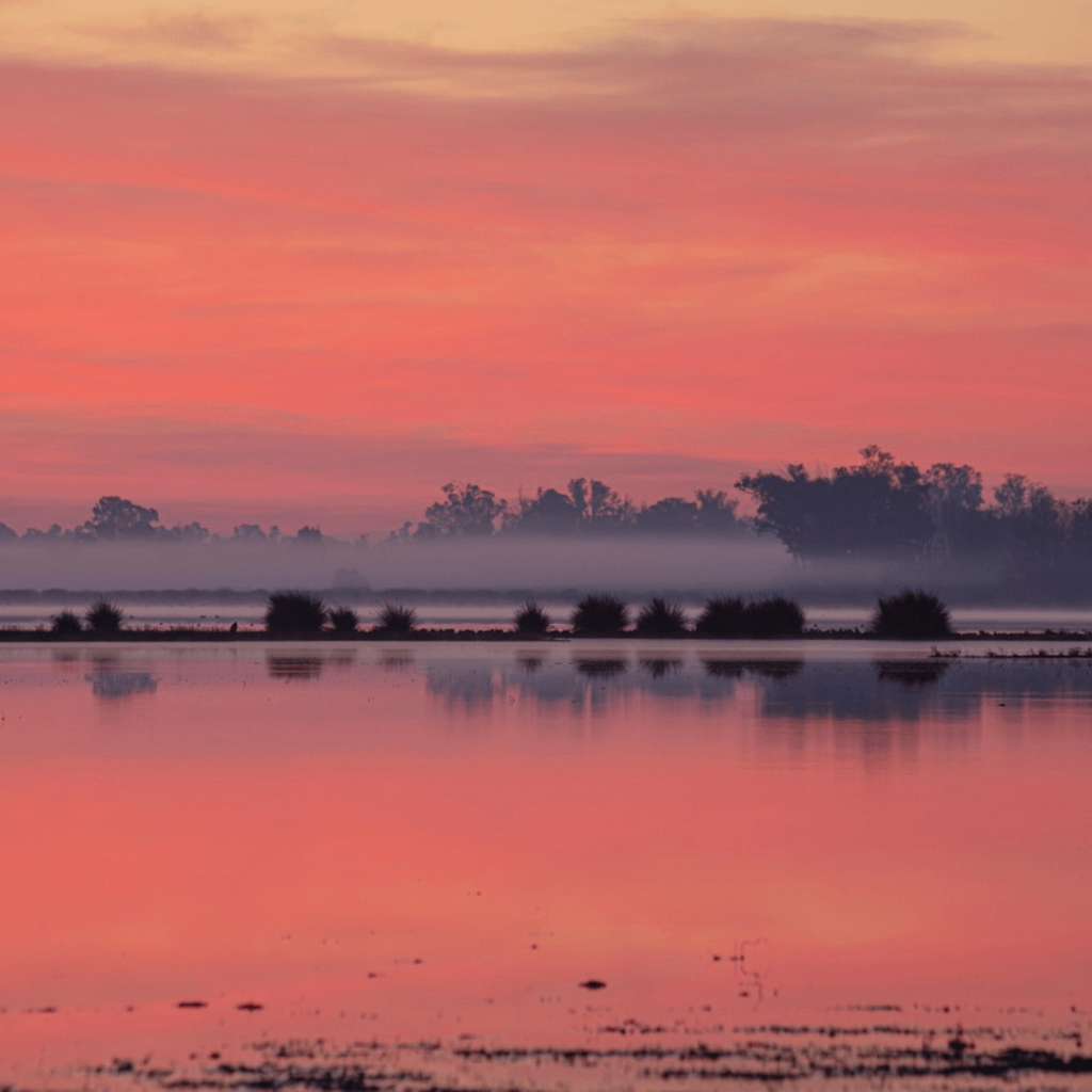 Día de los Humedales