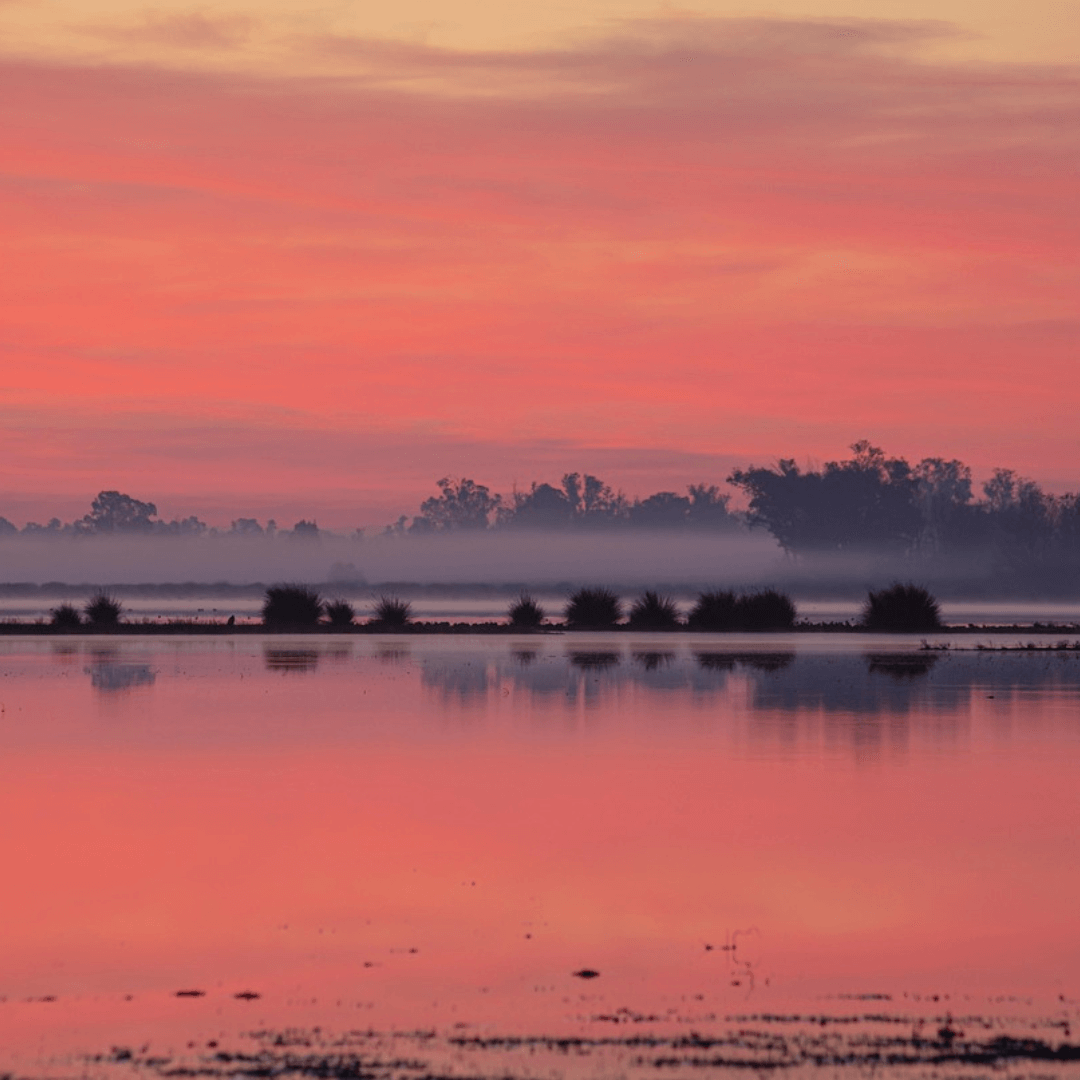 Día de los Humedales