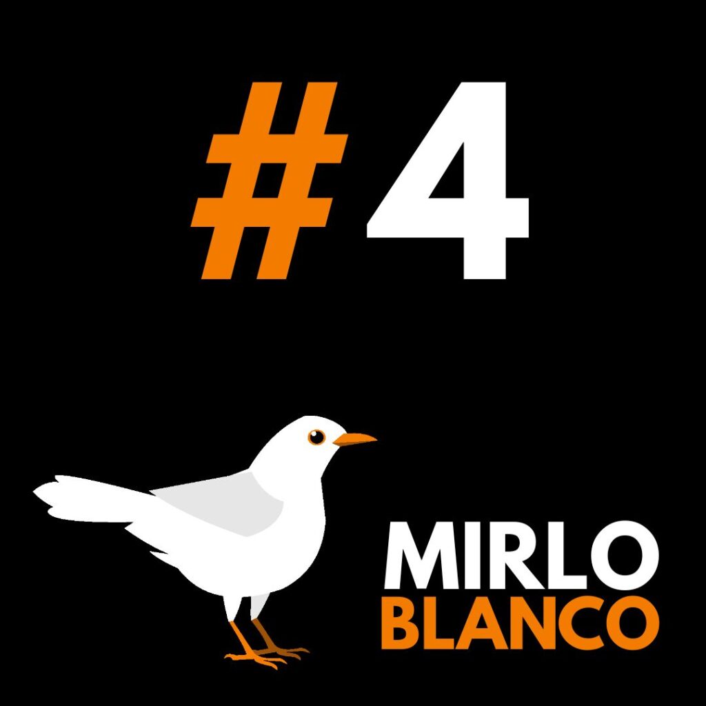 Episodio 4 - Mirlo Blanco