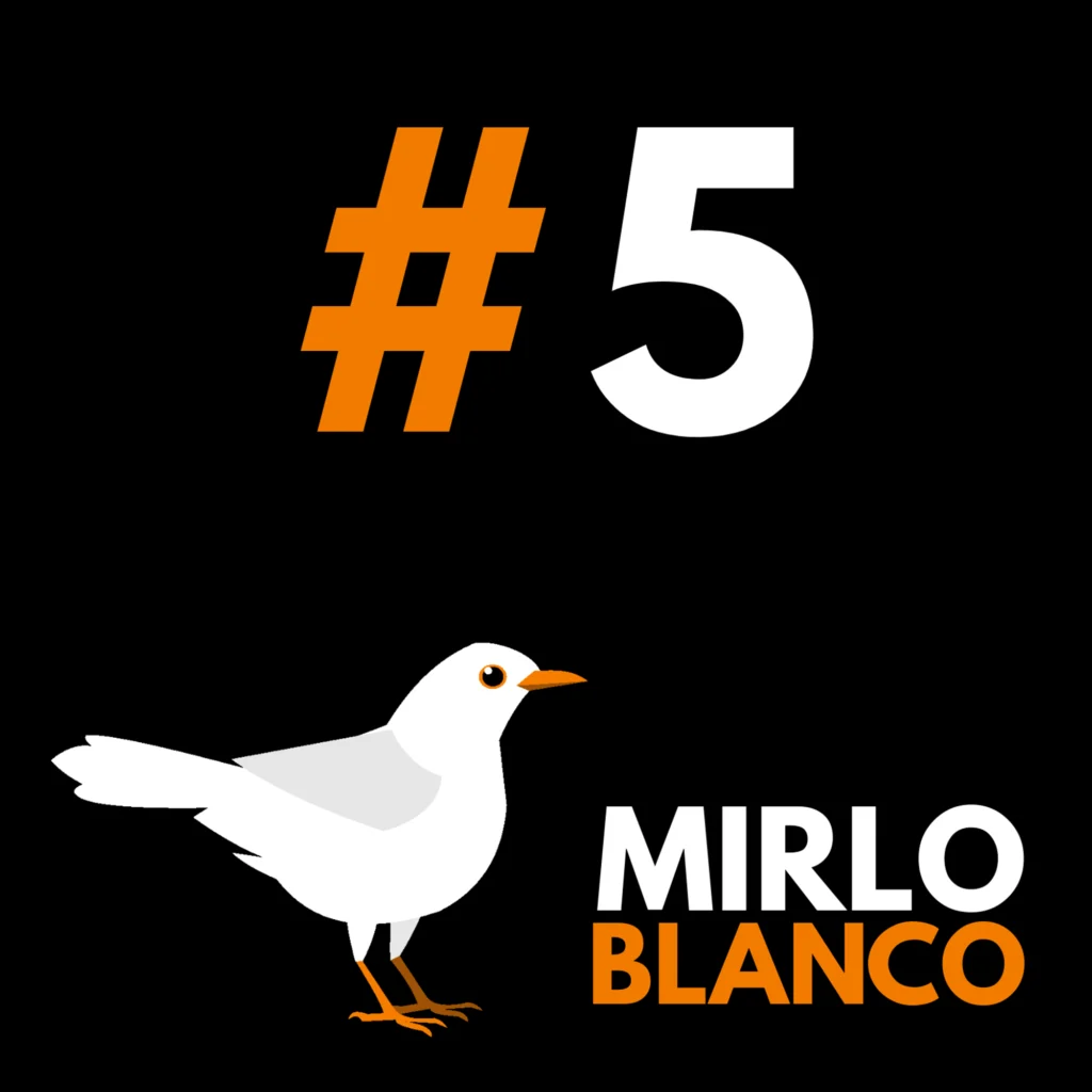 Episodio 5 Mirlo Blanco