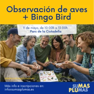 Observar aves en el Parque de la Ciutadella y jugar al Bingo Bird