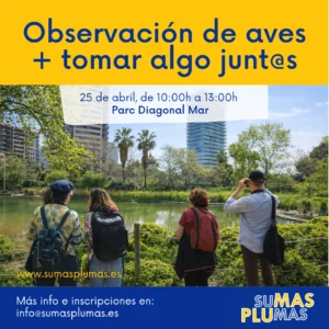 Observación de aves en Parque Diagonal Mar + Socializar en Barcelona