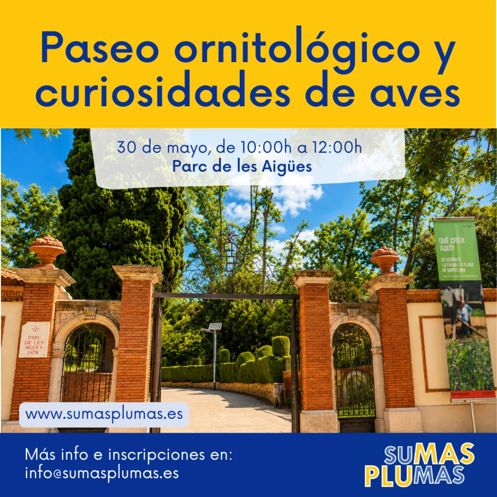 Parc de les Aigues - Actividad Sumas Plumas