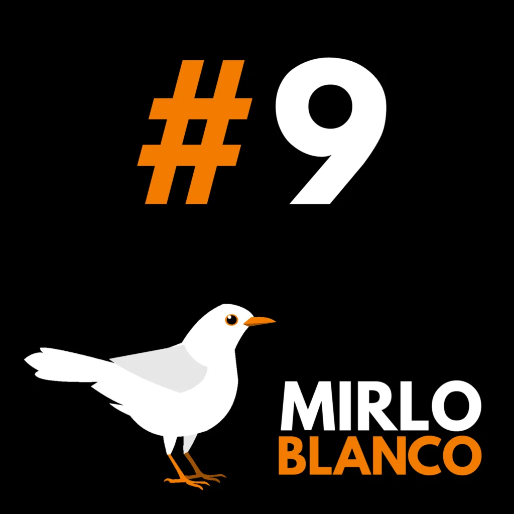 Episodio 9 Mirlo Blanco