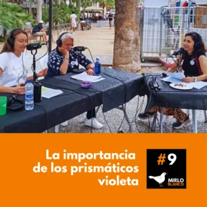 Mirlo Blanco - Episodio 9