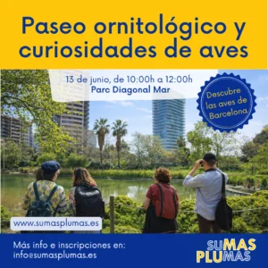 Paseo Ornitológico Parc Diagonal Mar 3